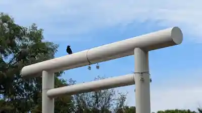 留萌神社の動物