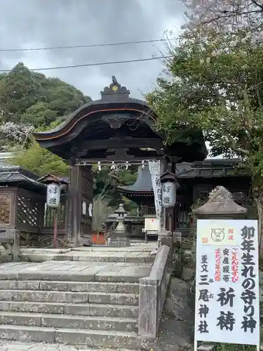 三尾神社(滋賀県)