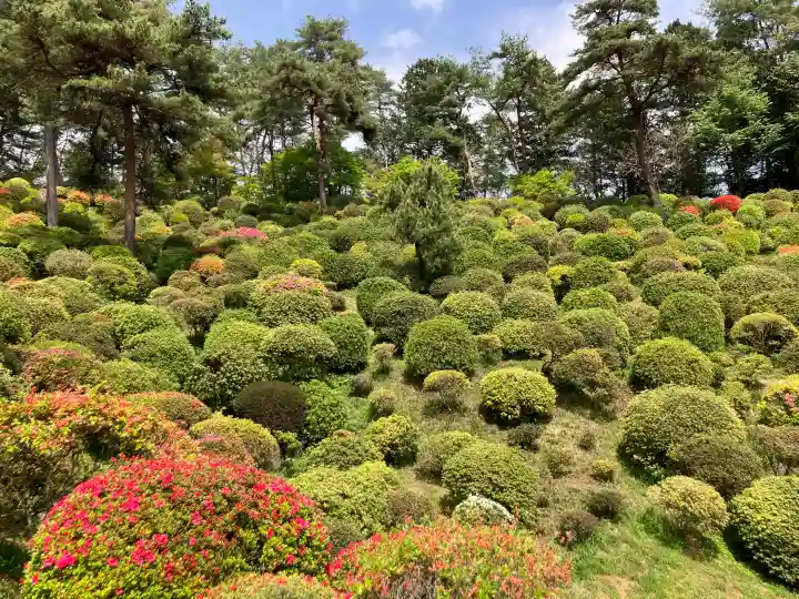 塩船観音寺の{uncategorized: "未分類", other: "その他", undefined: "問題あり", building: "その他建物", grave: "お墓", sacred_gate: "鳥居", guardian: "狛犬", statue: "像", buddha: "仏像", history: "歴史", nature: "自然", garden: "庭園", animal: "動物", pagoda: "塔", temizu: "手水舎", mountain_gate: "山門・神門", sanctuary: "本殿・本堂", subordinate: "末社・摂社", art: "芸術", scenery: "景色", jizo: "地蔵", ema: "絵馬", goshuin: "御朱印", omikuji: "おみくじ", items: "授与品その他", amulet: "お守り", goshuincho: "御朱印帳", eats: "食事", festival: "お祭り", votive_dance: "神楽", shichigosan: "七五三参", wedding: "結婚式", experience: "体験その他", initially: "初詣", around: "周辺", anti_infection: "感染症対策"}