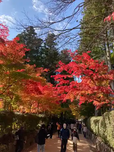 高野山金剛峯寺奥の院の周辺