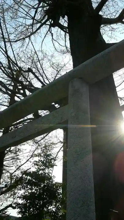 朝日氷川神社(埼玉県)