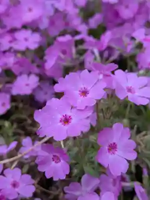 久富稲荷神社(東京都)