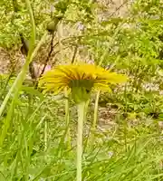 蚊里田八幡宮(長野県)