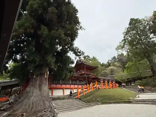 春日大社の{uncategorized: "未分類", other: "その他", undefined: "問題あり", building: "その他建物", grave: "お墓", sacred_gate: "鳥居", guardian: "狛犬", statue: "像", buddha: "仏像", history: "歴史", nature: "自然", garden: "庭園", animal: "動物", pagoda: "塔", temizu: "手水舎", mountain_gate: "山門・神門", sanctuary: "本殿・本堂", subordinate: "末社・摂社", art: "芸術", scenery: "景色", jizo: "地蔵", ema: "絵馬", goshuin: "御朱印", omikuji: "おみくじ", items: "授与品その他", amulet: "お守り", goshuincho: "御朱印帳", eats: "食事", festival: "お祭り", votive_dance: "神楽", shichigosan: "七五三参", wedding: "結婚式", experience: "体験その他", initially: "初詣", around: "周辺", anti_infection: "感染症対策"}