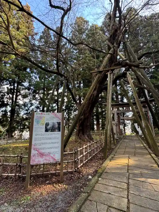 八乙女八幡神社(山形県)