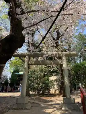 上目黒氷川神社の鳥居