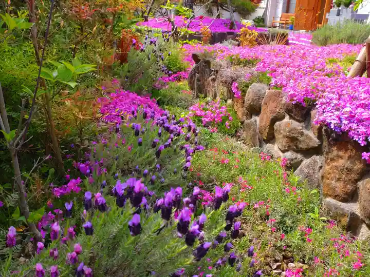 寿量山 速成寺の自然