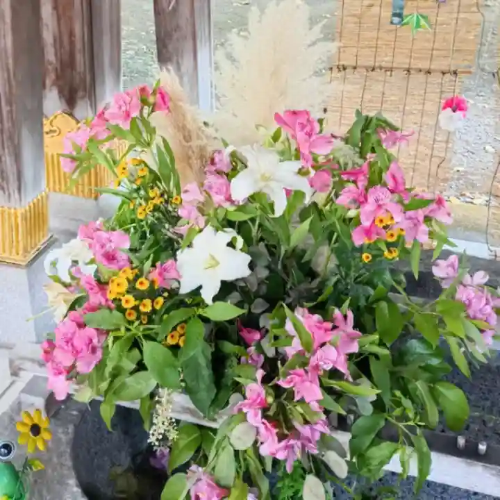 彌彦神社 (伊夜日子神社)(北海道)