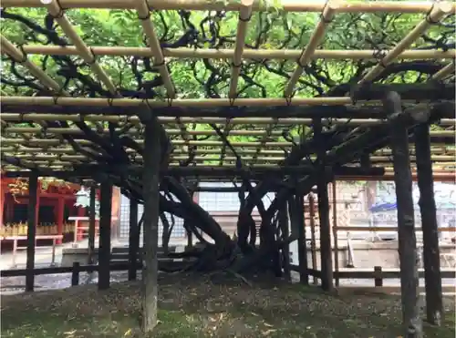 春日大社の庭園