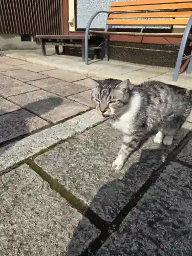 満月寺（浮御堂）(滋賀県)