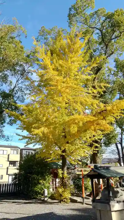 津嶋部神社(大阪府)