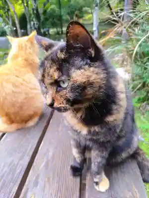 小松寺(千葉県)