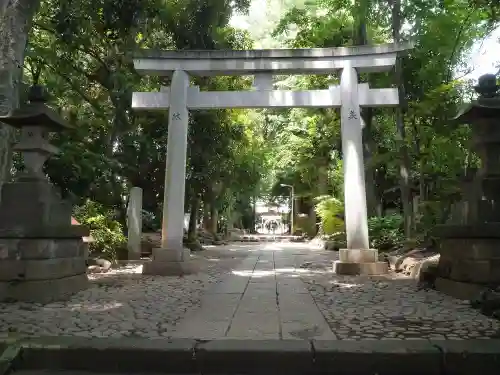 代々木八幡宮の鳥居