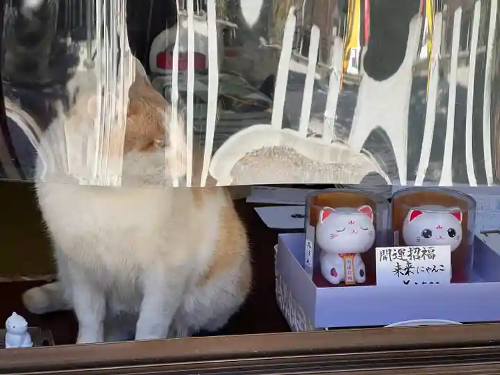 佐野赤城神社(栃木県)