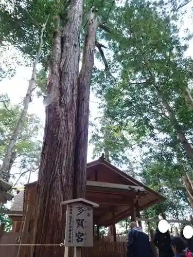 伊勢神宮外宮（豊受大神宮）の建物その他