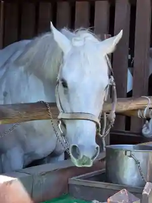 賀茂別雷神社（上賀茂神社）(京都府)