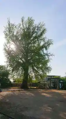 丹生酒殿神社(和歌山県)