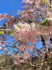 大山阿夫利神社(神奈川県)