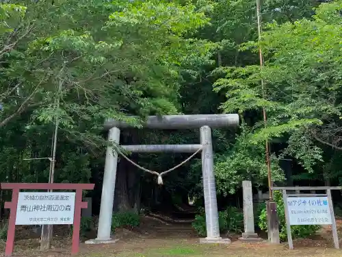 青山神社の鳥居