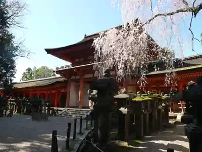 春日大社(奈良県)