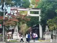 秩父神社(埼玉県)
