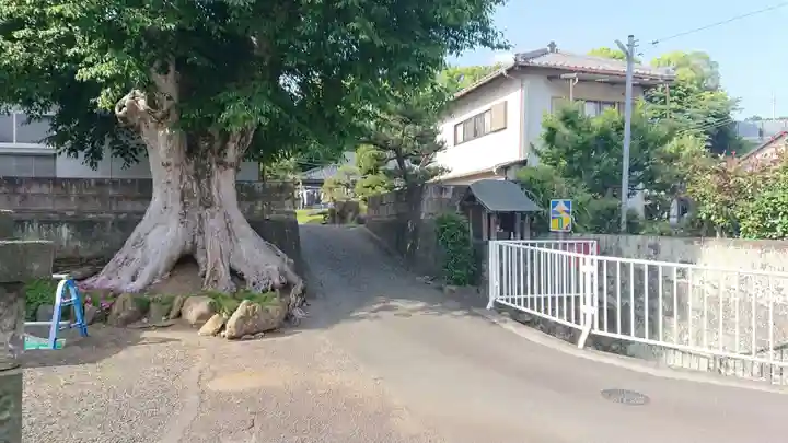 おしゃもっさん (江尾 )(静岡県)