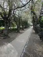 極楽寺(霊鷲山感應院極楽律寺)の景色