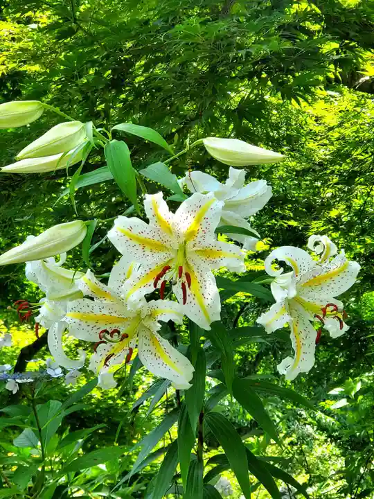 石都々古和気神社(福島県)