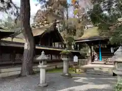 長浜八幡宮(滋賀県)