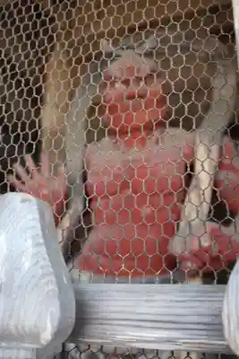 宝積山光前寺(長野県)