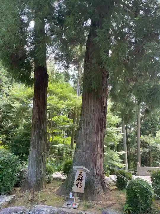 明石寺(愛媛県)