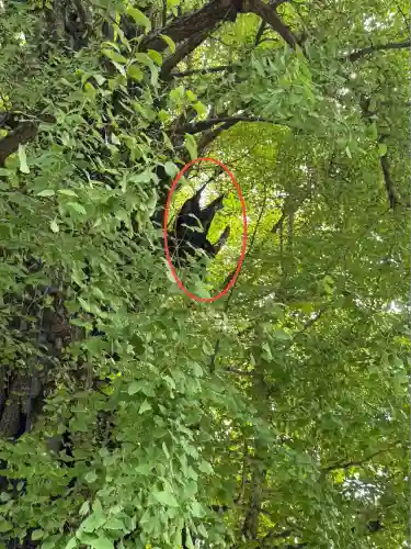 飛木稲荷神社(東京都)