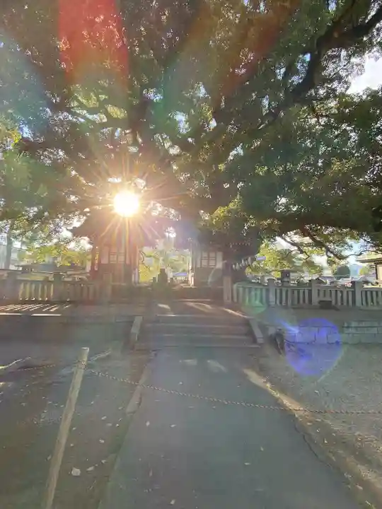 善通寺(香川県)