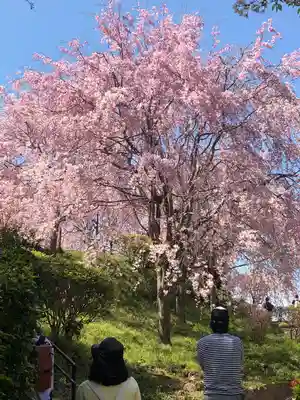 大神神社(奈良県)