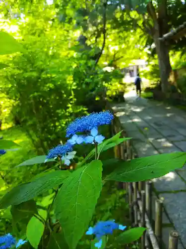 安國論寺（安国論寺）(神奈川県)