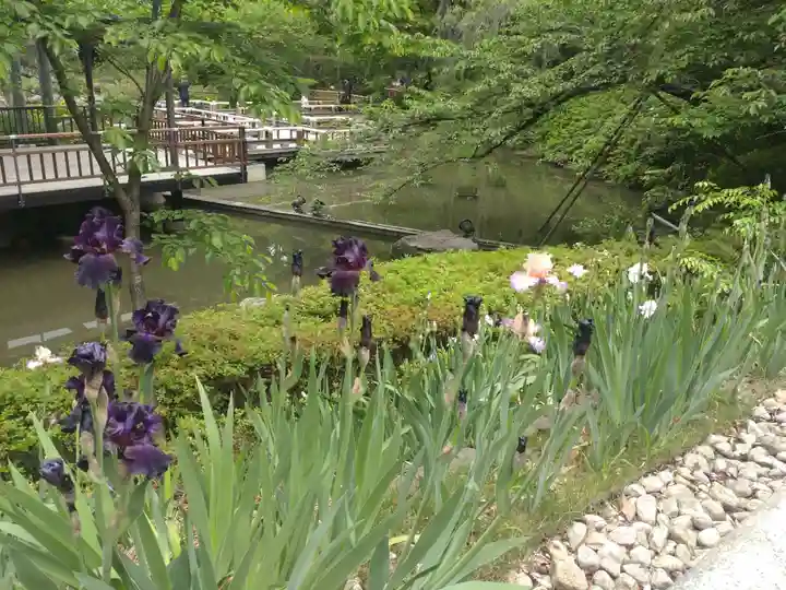 東郷神社の庭園
