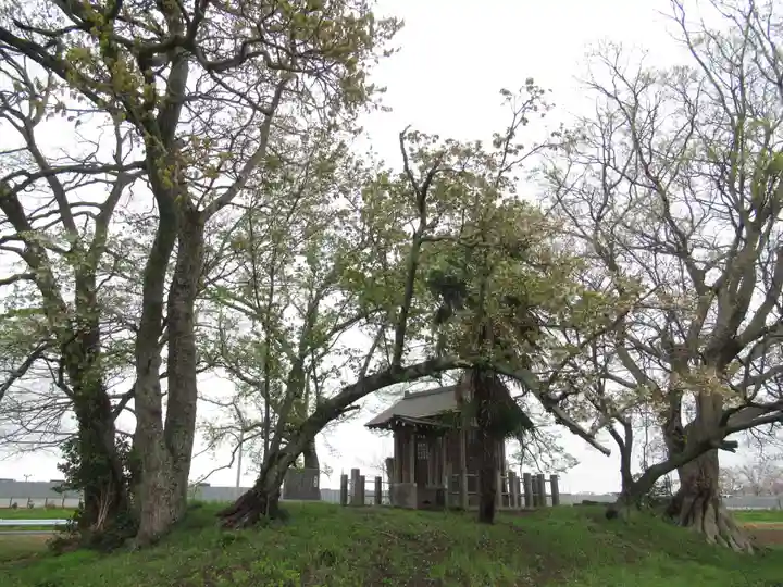 神明神社(千葉県)