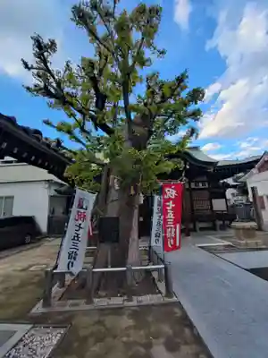 五條宮(大阪府)