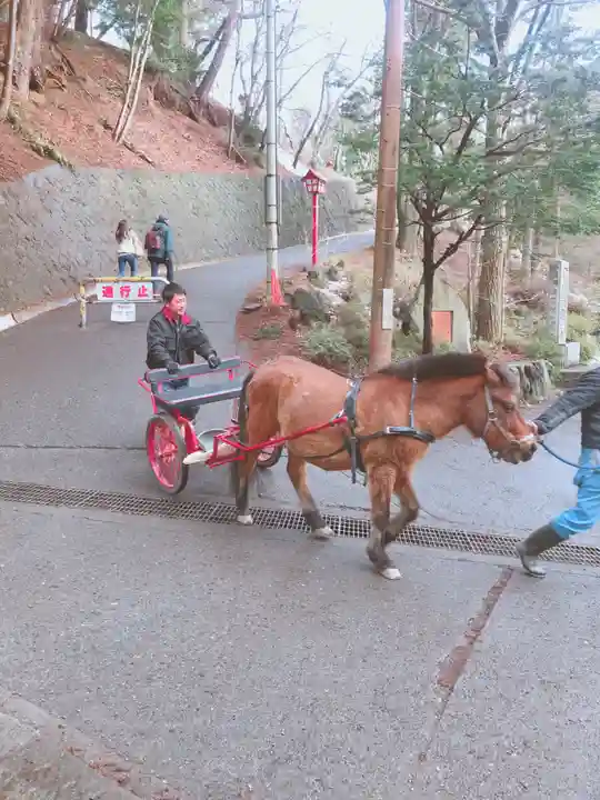 新倉富士浅間神社の動物