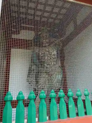 瀧泉寺(目黒不動尊)の像