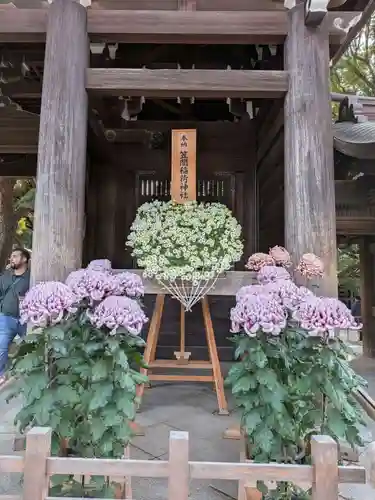 明治神宮(東京都)