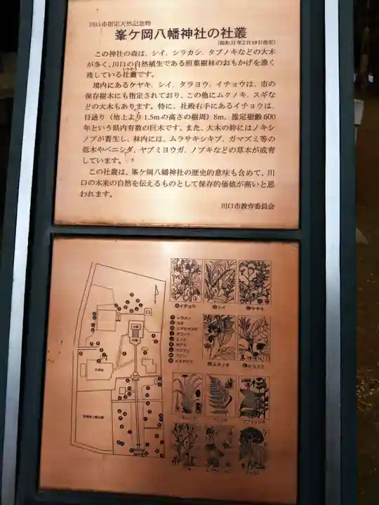 峯ヶ岡八幡神社(埼玉県)