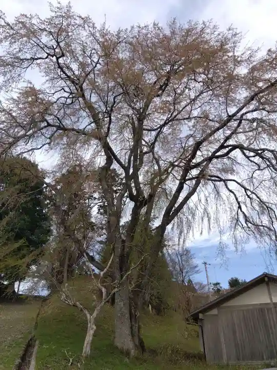 八幡宮社(京都府)