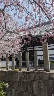 妙顯寺（妙顕寺）(京都府)