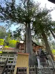 三峯神社の自然