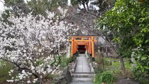 平野神社の末社・摂社