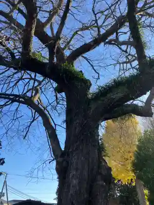 広済寺(神奈川県)