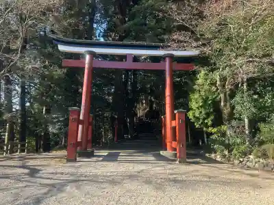 霧島東神社の{uncategorized: "未分類", other: "その他", undefined: "問題あり", building: "その他建物", grave: "お墓", sacred_gate: "鳥居", guardian: "狛犬", statue: "像", buddha: "仏像", history: "歴史", nature: "自然", garden: "庭園", animal: "動物", pagoda: "塔", temizu: "手水舎", mountain_gate: "山門・神門", sanctuary: "本殿・本堂", subordinate: "末社・摂社", art: "芸術", scenery: "景色", jizo: "地蔵", ema: "絵馬", goshuin: "御朱印", omikuji: "おみくじ", items: "授与品その他", amulet: "お守り", goshuincho: "御朱印帳", eats: "食事", festival: "お祭り", votive_dance: "神楽", shichigosan: "七五三参", wedding: "結婚式", experience: "体験その他", initially: "初詣", around: "周辺", anti_infection: "感染症対策"}
