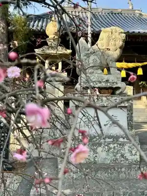 福良八幡神社(兵庫県)