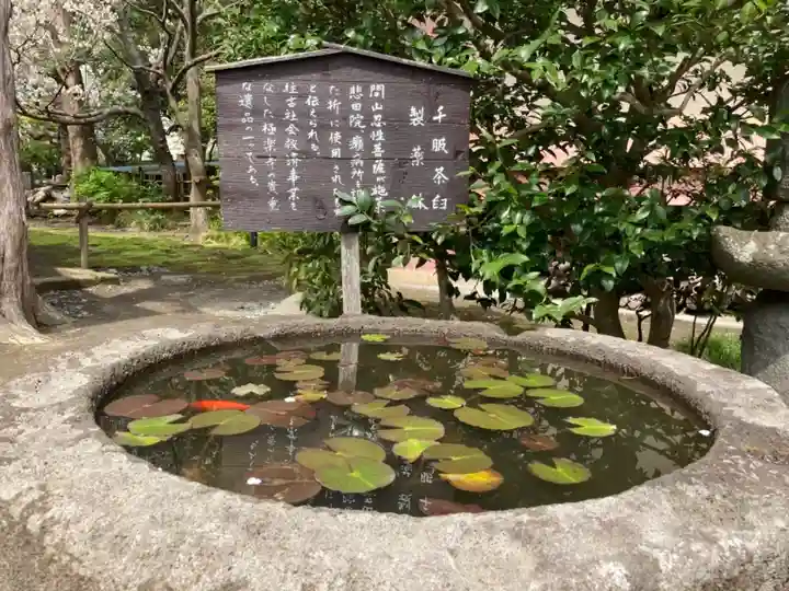 極楽寺(霊鷲山感應院極楽律寺)のその他建物